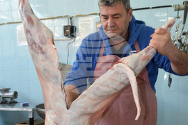 Хасково – агнешко месо