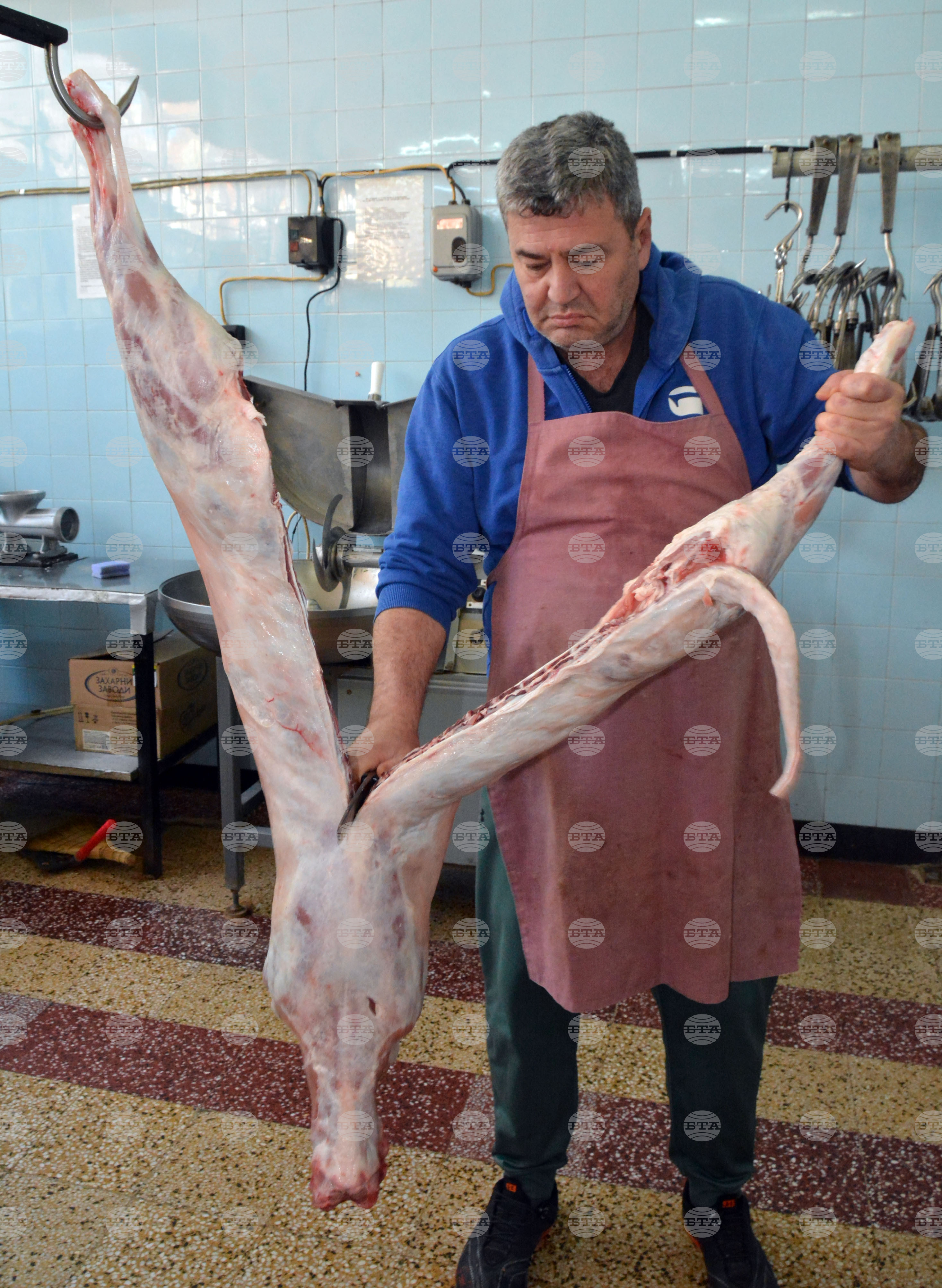 Хасково – агнешко месо