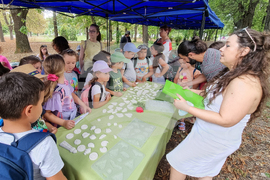 Шумен - работилници за изкуство - ден на таланта