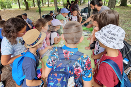 Шумен - работилници за изкуство - ден на таланта