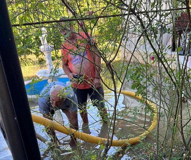 МЗХ: Служители на „Напоителни системи” отводняват три къщи в село Лепица, община Червен бряг