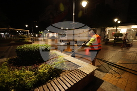 Булевард „Витоша" - миене