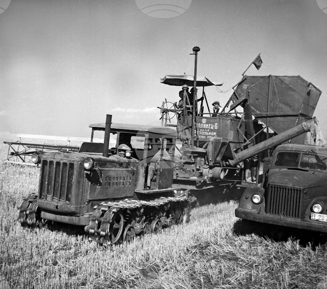 Трудови кооперативни земеделски стопанства - ТКЗС