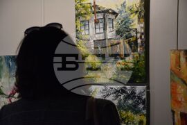 Благоевград - Вили Костова - изложба