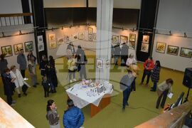 Благоевград - Вили Костова - изложба