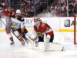 Ducks Panthers Hockey