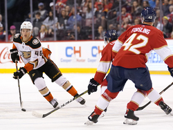 Ducks Panthers Hockey