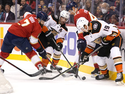 Ducks Panthers Hockey