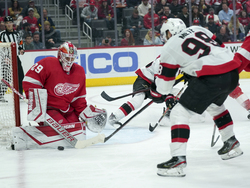Senators Red Wings Hockey