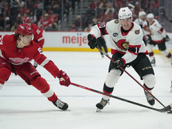 Senators Red Wings Hockey