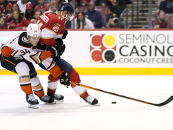 Ducks Panthers Hockey