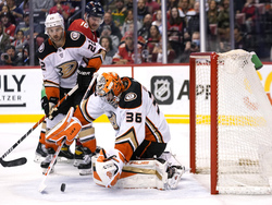 Ducks Panthers Hockey