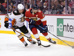 Ducks Panthers Hockey