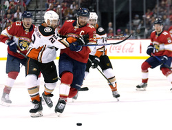 Ducks Panthers Hockey