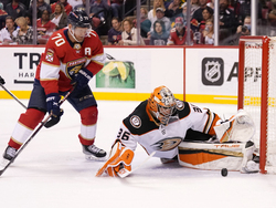 Ducks Panthers Hockey