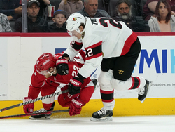 Senators Red Wings Hockey