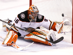 Ducks Panthers Hockey