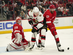 Senators Red Wings Hockey