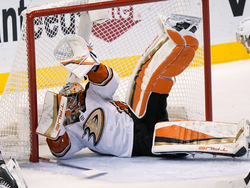 Ducks Panthers Hockey