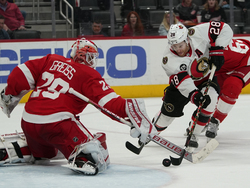 Senators Red Wings Hockey