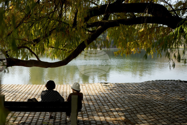 Честото изправяне от седнало положение е полезно за сърцето при възрастните жени, сочи проучване