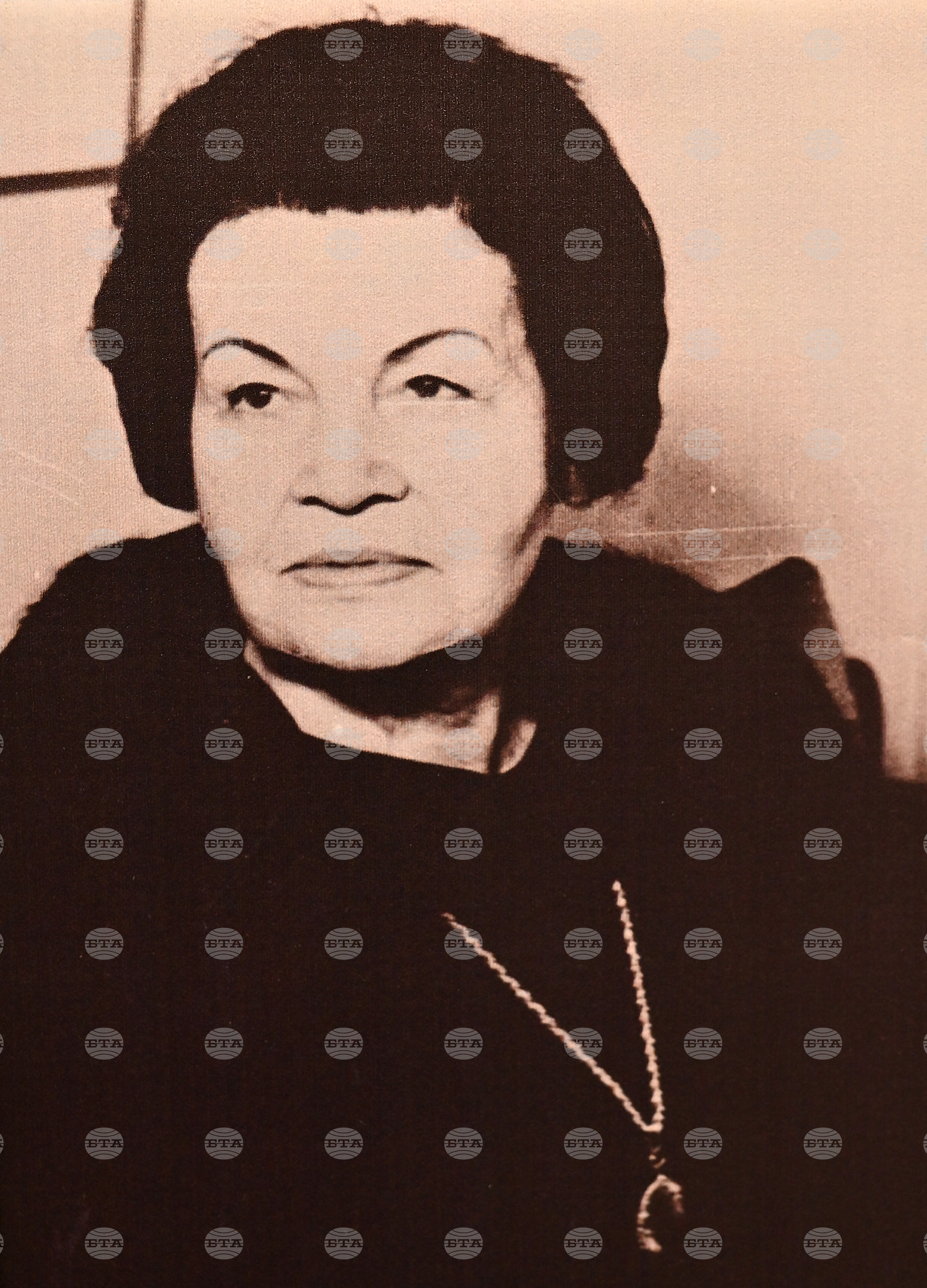 Вършец - Елисавета Багряна - изложба