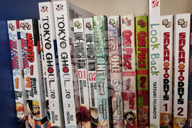 Враца - японска култура - клуб - откриване