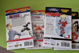 Враца - японска култура - клуб - откриване