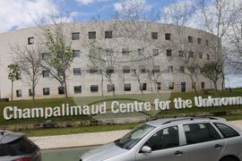 Лисабон - фондация Шампалимо