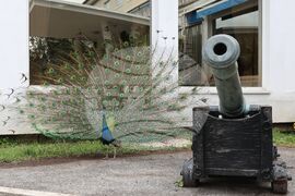 Португалия - Лисабон - Университетски военен институт