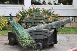 Португалия - Лисабон - Университетски военен институт