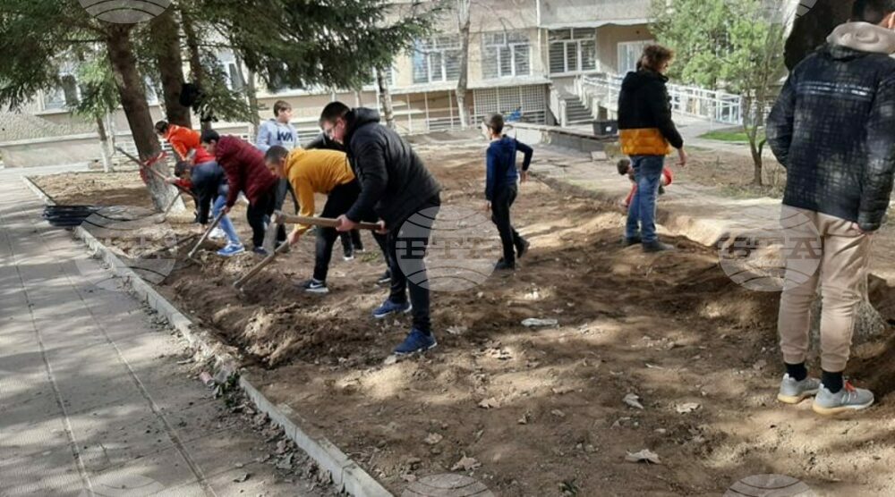 Ученици, учители и родители изграждат алпинеум в двора на Второ СУ “Проф. Никола Маринов” в Търговище