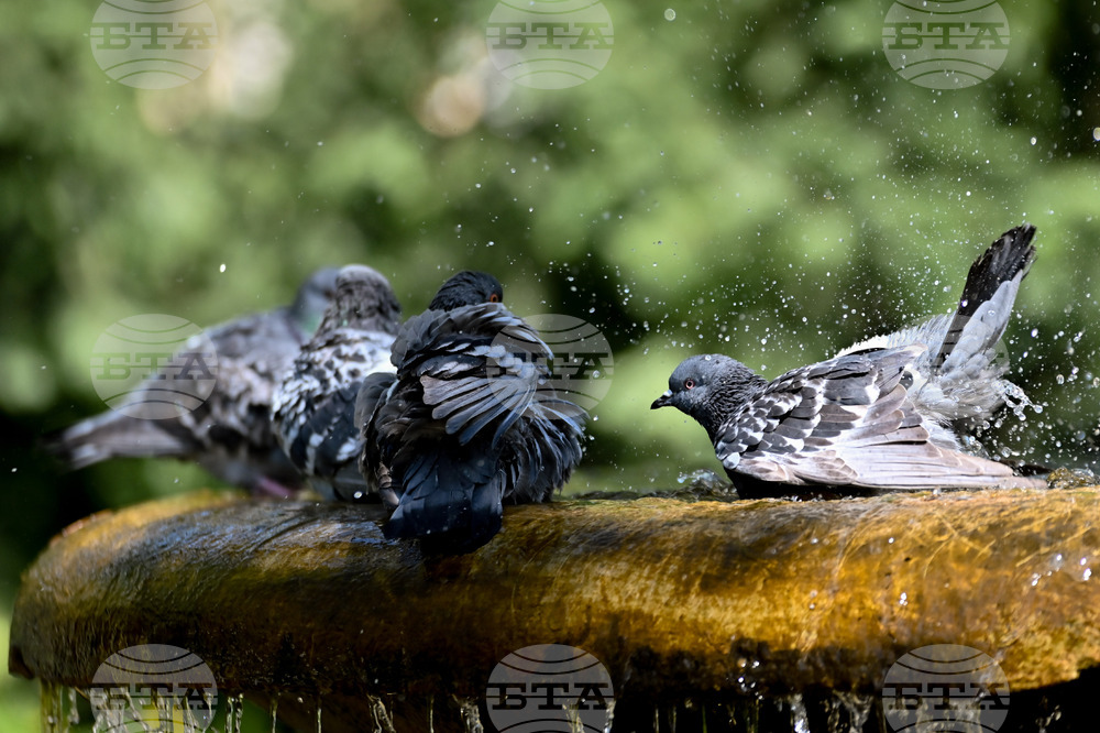 Weather Forecast: May 10