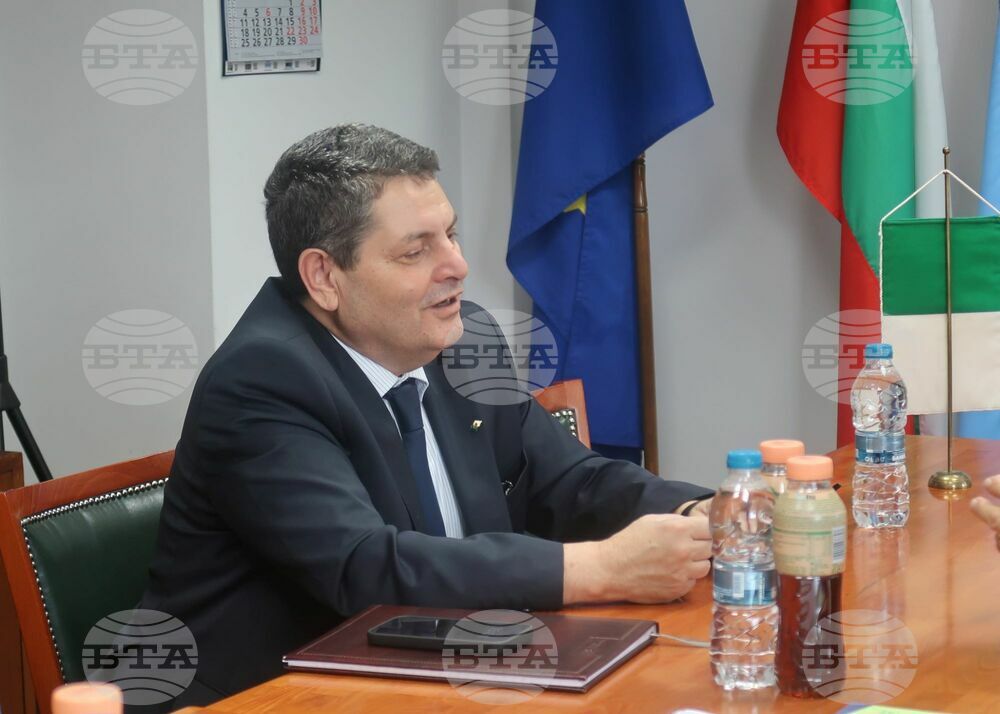 Algeria Interested in Cooperation with Bulgaria in Energy, Pharmacy, Information Technology and Agriculture