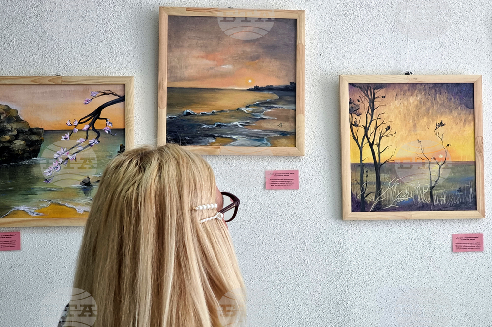 Ямбол - изложба - Ваня Велева