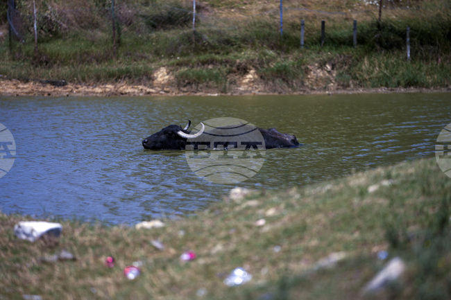 Турция си поставя за цел да превърне 30 процента от територията си в защитени зони до 2030 г. 