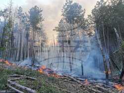 Снимка: Министерство на земеделието и храните