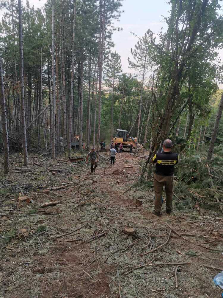 МЗХ: Горски служители са участвали в гасенето на пожари в страната