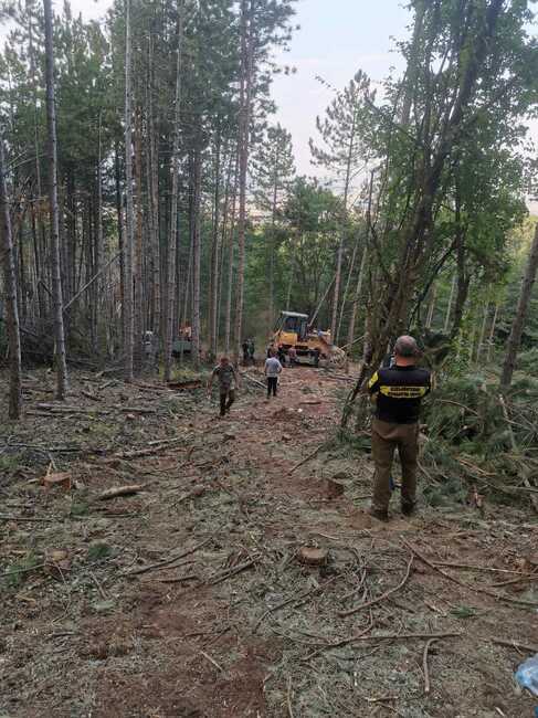МЗХ: Горски служители са участвали в гасенето на пожари в страната