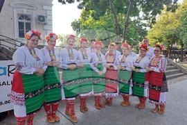 Видин - състав за български народни танци от Унгария - творчески лагер