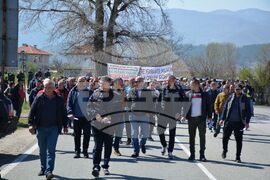 Симитли - дървопреработвателни фирми - протест