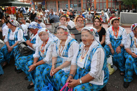 Село Мъдрево - селищен празник