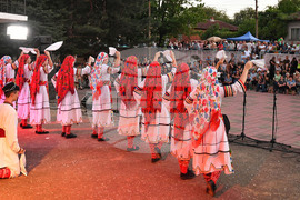 Село Мъдрево - селищен празник