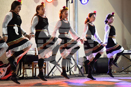 Село Мъдрево - селищен празник