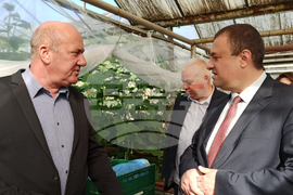 Първомай - Иван Иванов - оранжерия