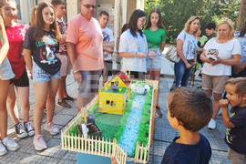 Разград - ученици - проект - демонстрация