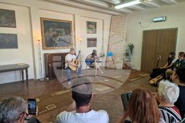 Видин - майсторски клас по китара - концерт