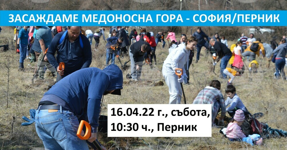 Медоносна гора ще бъде засадена на минен табан в Перник