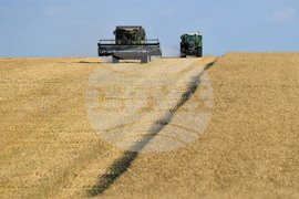 Село Китанчево - жътва - привършване