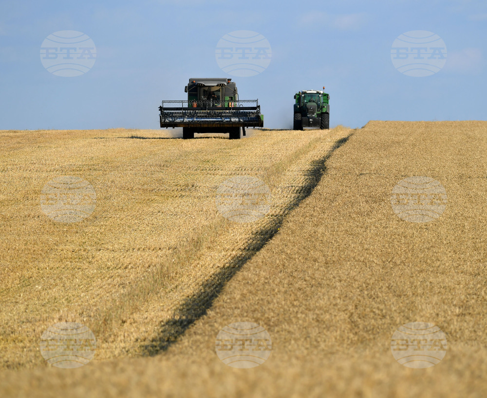 Село Китанчево - жътва - привършване